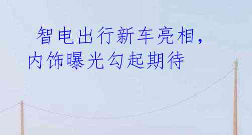 智电出行新车亮相,内饰曝光勾起期待