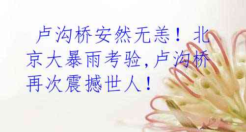 卢沟桥安然无恙!北京大暴雨考验,卢沟桥再次震撼世人!