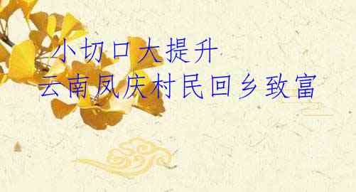 小切口大提升 云南凤庆村民回乡致富