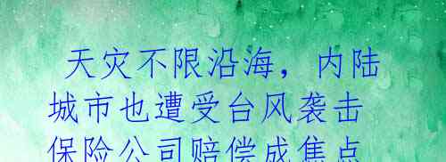 天灾不限沿海,内陆城市也遭受台风袭击 保险公司赔偿成焦点