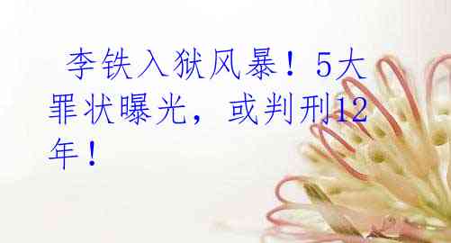 李铁入狱风暴!5大罪状曝光,或判刑12年!