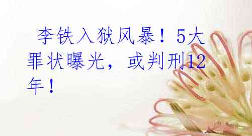  李铁入狱风暴！5大罪状曝光，或判刑12年！ 