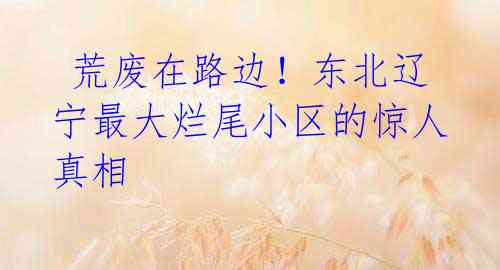 荒废在路边!东北辽宁最大烂尾小区的惊人真相