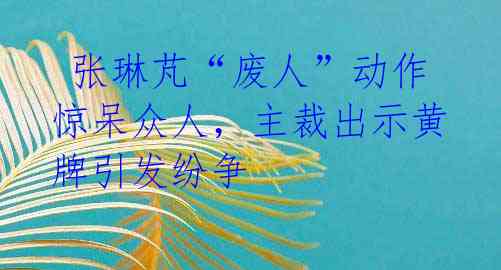 张琳芃“废人”动作惊呆众人,主裁出示黄牌引发纷争