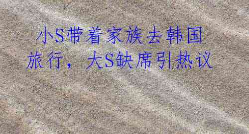 小S带着家族去韩国旅行,大S缺席引热议