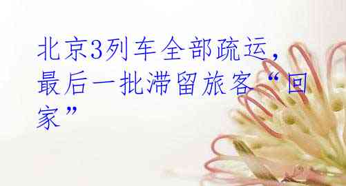 北京3列车全部疏运,最后一批滞留旅客“回家”