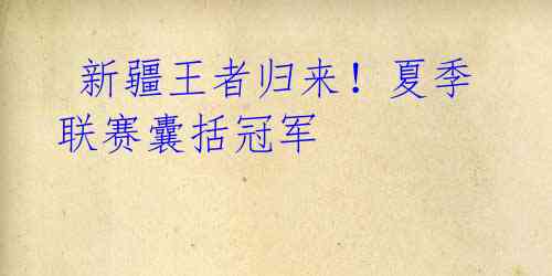 新疆王者归来!夏季联赛囊括冠军