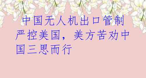 中国无人机出口管制严控美国,美方苦劝中国三思而行