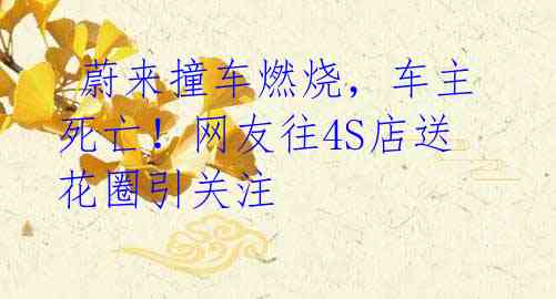 蔚来撞车燃烧,车主死亡!网友往4S店送花圈引关注