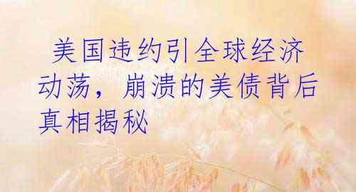  美国违约引全球经济动荡，崩溃的美债背后真相揭秘