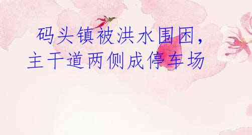 码头镇被洪水围困,主干道两侧成停车场