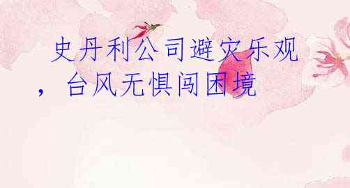  史丹利公司避灾乐观，台风无惧闯困境