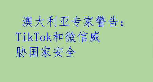  澳大利亚专家警告：TikTok和微信威胁国家安全 