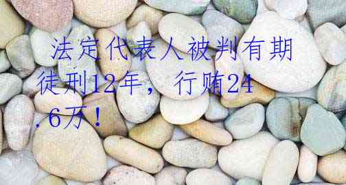法定代表人被判有期徒刑12年,行贿24.6万!