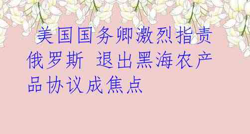  美国国务卿激烈指责俄罗斯 退出黑海农产品协议成焦点 