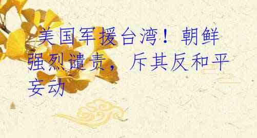 美国军援台湾!朝鲜强烈谴责,斥其反和平妄动