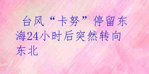 台风“卡努”停留东海24小时后突然转向东北