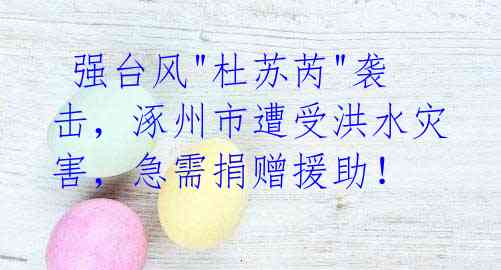 强台风"杜苏芮"袭击,涿州市遭受洪水灾害,急需捐赠援助!