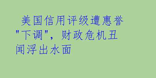  美国信用评级遭惠誉"下调"，财政危机丑闻浮出水面 