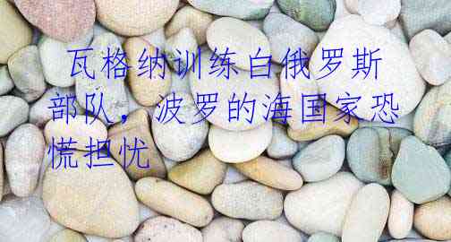 瓦格纳训练白俄罗斯部队,波罗的海国家恐慌担忧