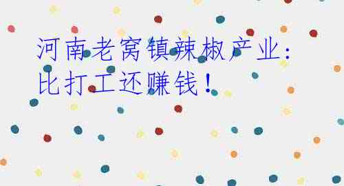 河南老窝镇辣椒产业: 比打工还赚钱!