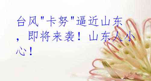 台风"卡努"逼近山东,即将来袭!山东人小心!