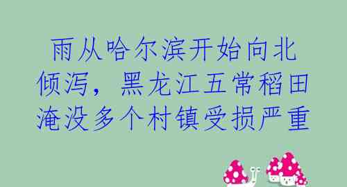  雨从哈尔滨开始向北倾泻，黑龙江五常稻田淹没多个村镇受损严重 