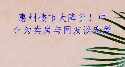  惠州楼市大降价！中介为卖房与网友谈恋爱 