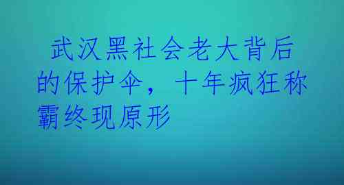  武汉黑社会老大背后的保护伞，十年疯狂称霸终现原形 