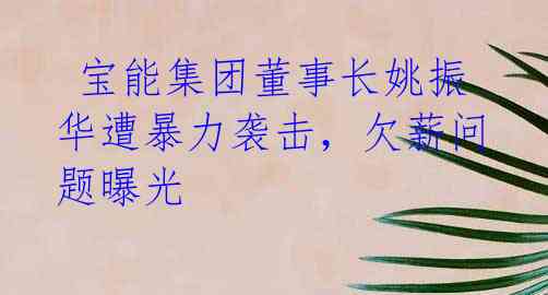 宝能集团董事长姚振华遭暴力袭击,欠薪问题曝光