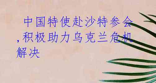 中国特使赴沙特参会,积极助力乌克兰危机解决