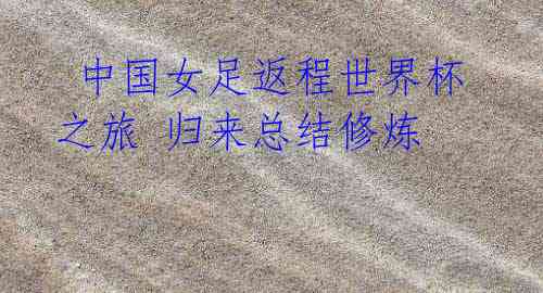 中国女足返程世界杯之旅 归来总结修炼