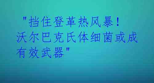 "挡住登革热风暴!沃尔巴克氏体细菌或成有效武器"