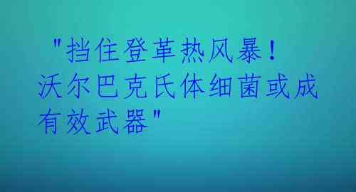  "挡住登革热风暴！沃尔巴克氏体细菌或成有效武器" 