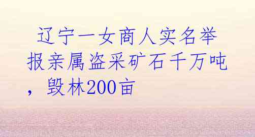  辽宁一女商人实名举报亲属盗采矿石千万吨，毁林200亩 