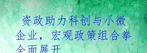 资政助力科创与小微企业,宏观政策组合拳全面展开