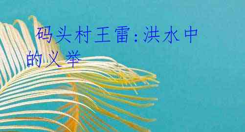 码头村王雷:洪水中的义举