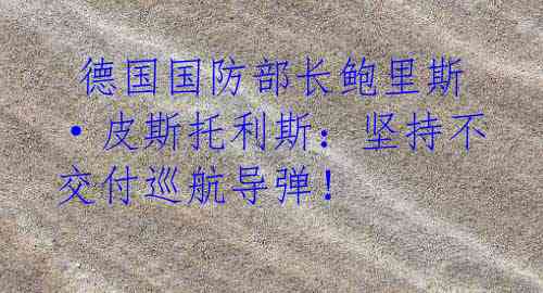  德国国防部长鲍里斯·皮斯托利斯：坚持不交付巡航导弹！
