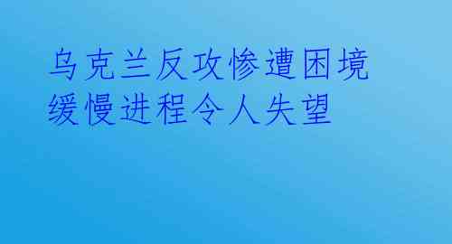 乌克兰反攻惨遭困境 缓慢进程令人失望 