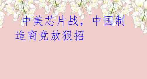  中美芯片战，中国制造商竞放狠招
