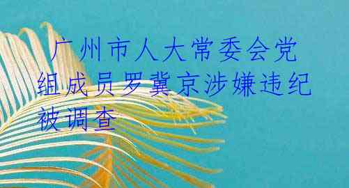 广州市人大常委会党组成员罗冀京涉嫌违纪被调查