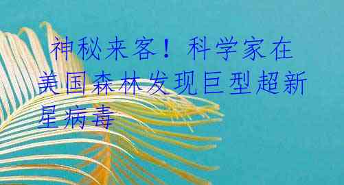 神秘来客!科学家在美国森林发现巨型超新星病毒
