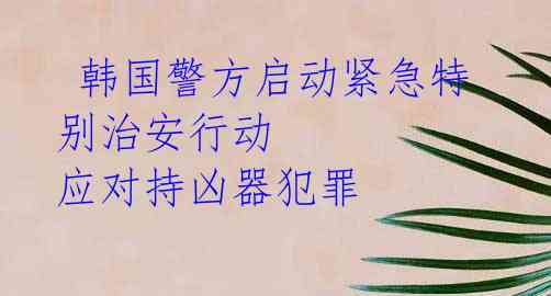  韩国警方启动紧急特别治安行动 应对持凶器犯罪 