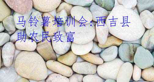 马铃薯培训会:西吉县助农民致富