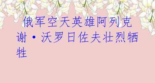 俄军空天英雄阿列克谢·沃罗日佐夫壮烈牺牲