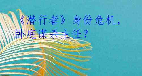 《潜行者》身份危机,卧底谋杀主任?