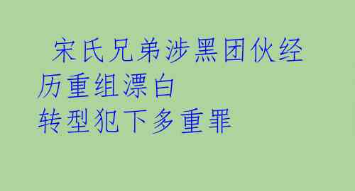 宋氏兄弟涉黑团伙经历重组漂白 转型犯下多重罪