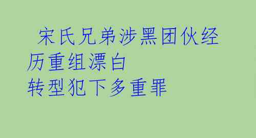  宋氏兄弟涉黑团伙经历重组漂白 转型犯下多重罪 