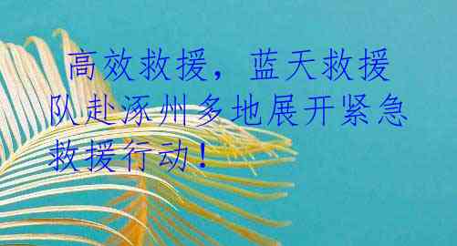 高效救援,蓝天救援队赴涿州多地展开紧急救援行动!