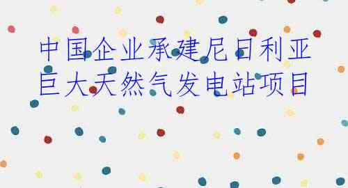 中国企业承建尼日利亚巨大天然气发电站项目